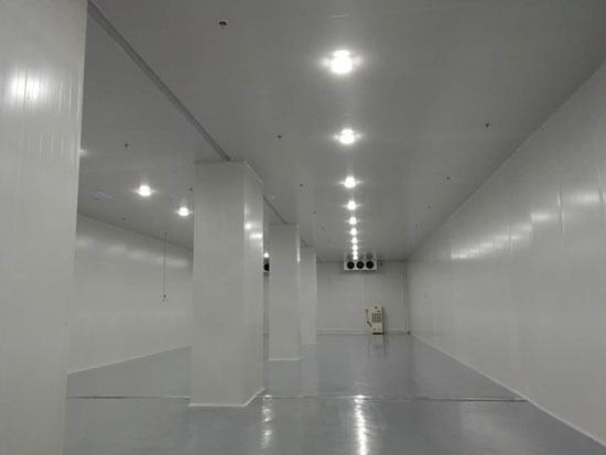 大型食品陰涼物流低溫倉(cāng)庫(kù) 大型食品陰涼物流低溫倉(cāng)庫(kù)