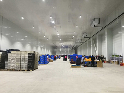 建設(shè)8000平米電商物流低溫冷藏庫費用造價是多少？