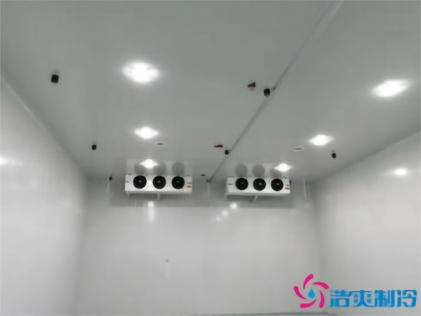 建造彩椒保鮮冷庫安裝費用需要多少錢？