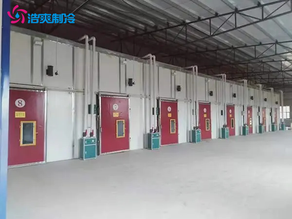 果蔬氣調(diào)冷藏庫 火龍果 獼猴桃冷庫建造 鮮花保鮮冷庫 果蔬氣調(diào)冷藏庫 火龍果 獼猴桃冷庫建造 鮮花保鮮冷庫