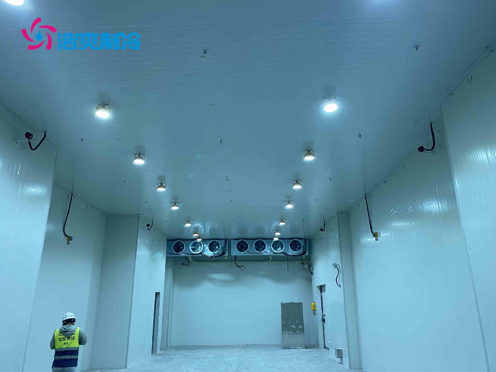 醫(yī)藥冷庫建設標準及建造方案是什么 醫(yī)藥冷庫建設標準及建造方案是什么