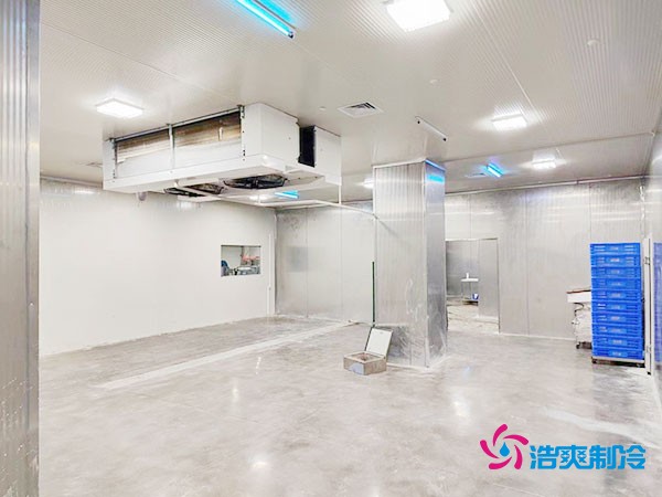 凈化車間冷庫設(shè)計方案
