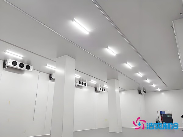 冷庫(kù)造價(jià)清單與建造全解析