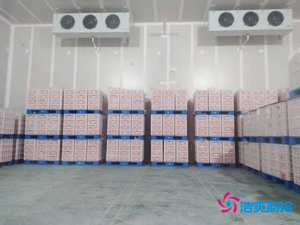 氣調(diào)冷庫(kù)建造多少錢