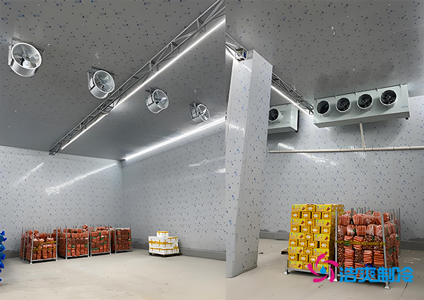 1000噸果蔬保鮮庫造價揭秘，節(jié)省成本就靠這幾點！