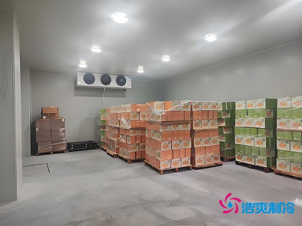1000噸果蔬保鮮庫造價揭秘，節(jié)省成本就靠這幾點！