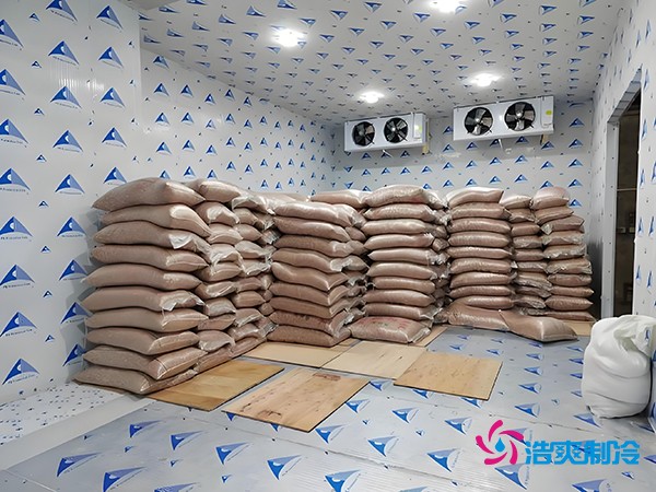 2萬起建種子冷庫？這些因素讓造價翻倍！