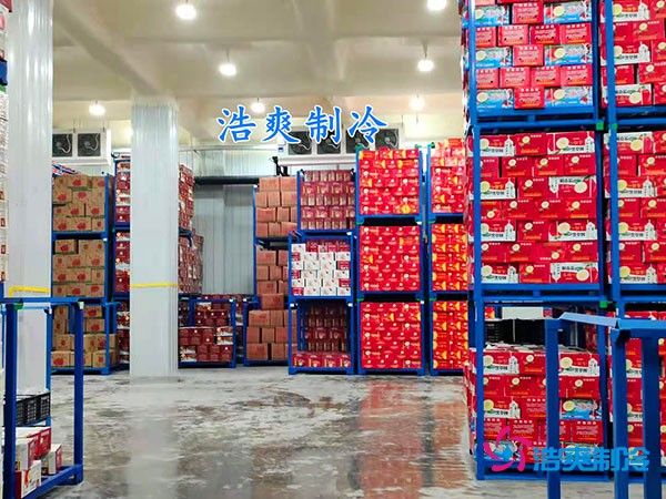 500平果蔬冷庫造價曝光！35萬起建，省錢秘訣在這里！