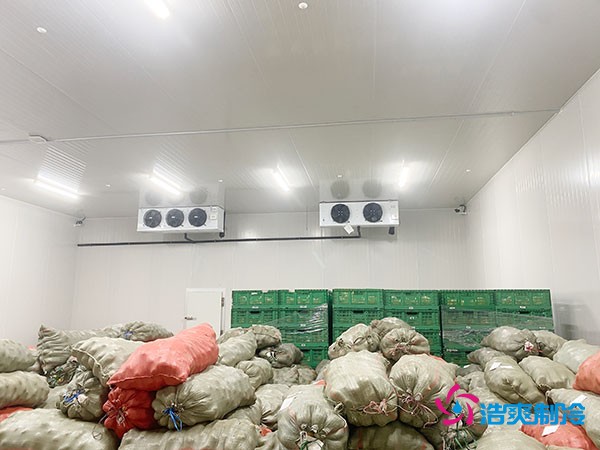 500平果蔬冷庫造價曝光！35萬起建，省錢秘訣在這里！