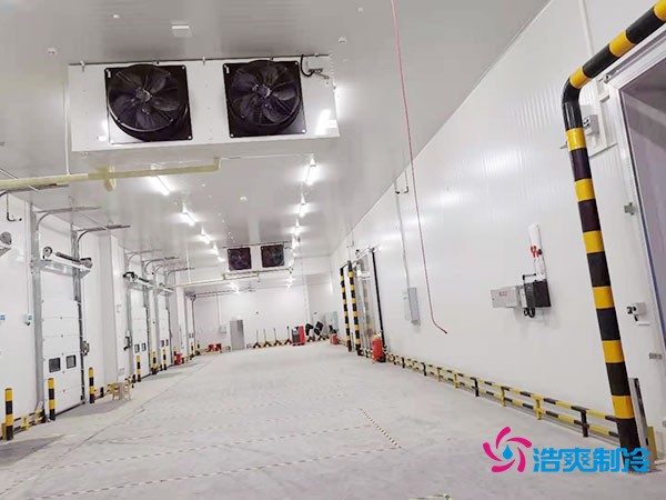 冷庫(kù)造價(jià)懸殊？揭秘每平米價(jià)格背后的秘密！