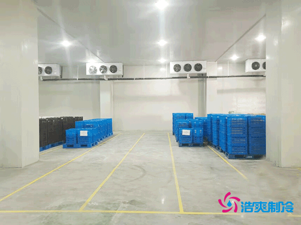 冬瓜保鮮冷庫安裝造價(jià)成本多少錢？