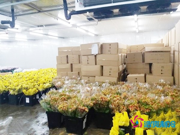 建造500㎡花卉鮮花冷庫工程造價預(yù)算解析