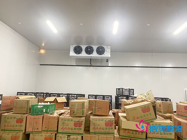 果蔬保鮮冷庫(kù)的建造費(fèi)用