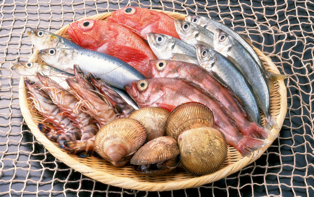 冰鮮海鮮冷庫造價(jià)，5000平方米冷凍庫總投資多少