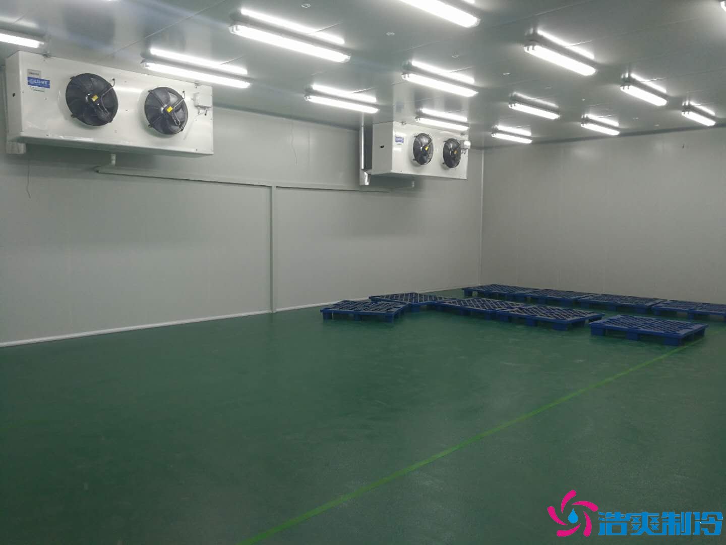 沈陽(yáng)三生制藥3000平米低溫（冷凍、冷藏）醫(yī)藥物流冷庫(kù)工程案例