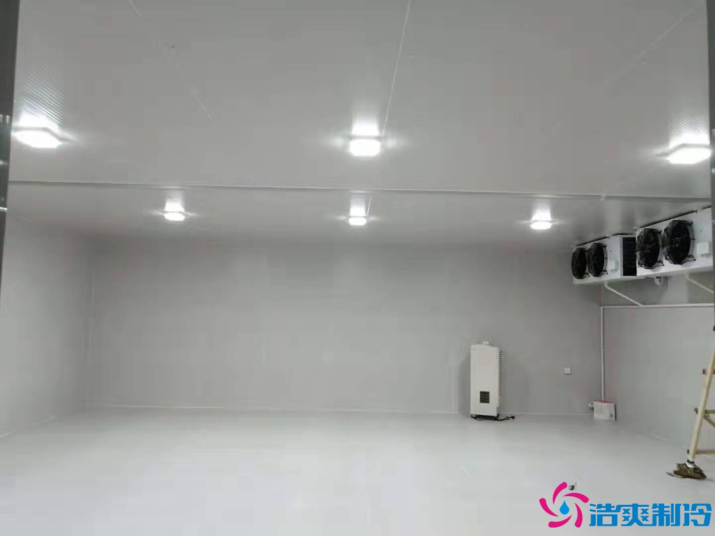 上?；蛏?000m3生物制品冷庫（冷凍、冷藏）新建工程案例