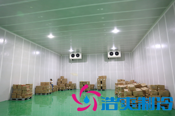 5000平米生鮮食品物流冷庫(kù)(低溫倉(cāng)儲(chǔ))建設(shè)成本需要多少錢(qián)