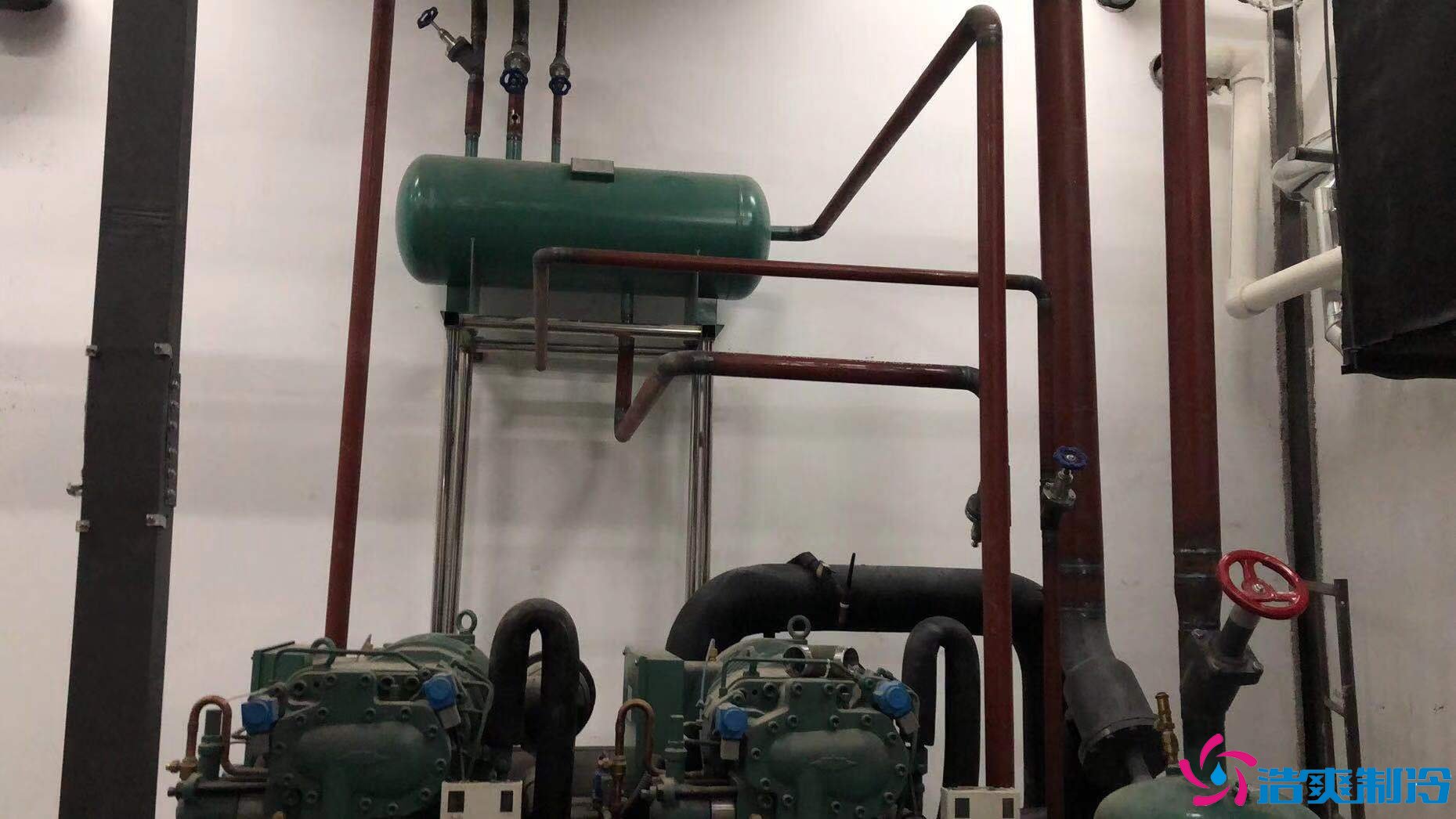 天津真功夫連鎖餐飲建造7000m3冷藏、冷凍庫(kù)新工程案例