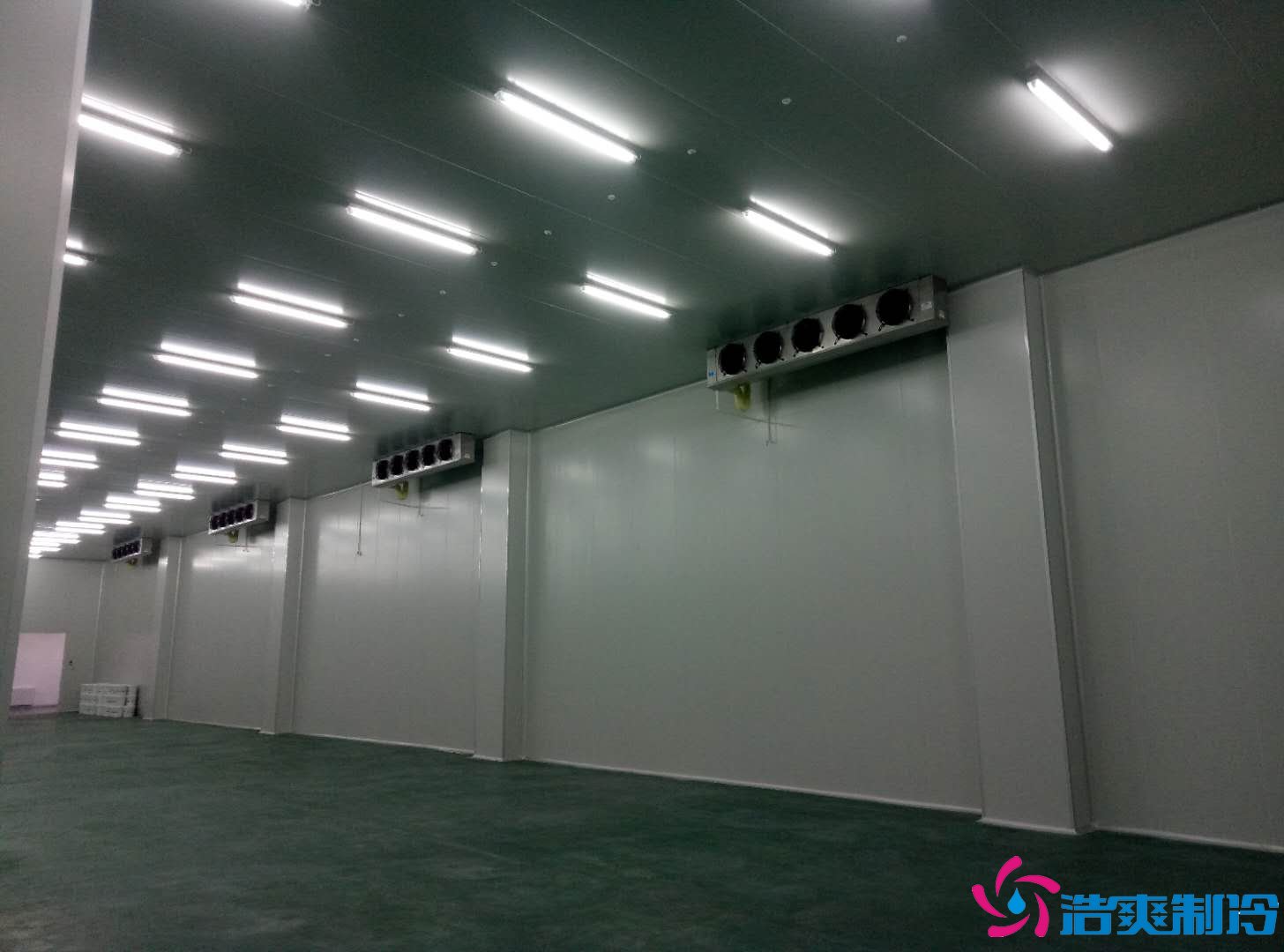 深圳金瑞凱利生物建造100㎡高標(biāo)準(zhǔn)醫(yī)藥冷庫(kù)(冷凍冷藏庫(kù))工程案例