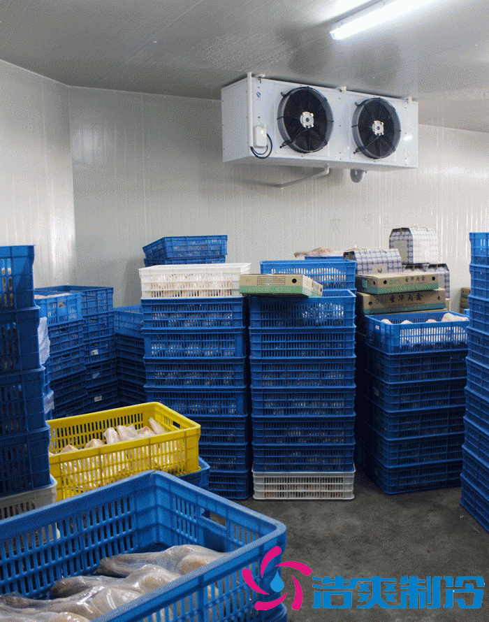 上海雞肉冷庫、雞排冷凍庫