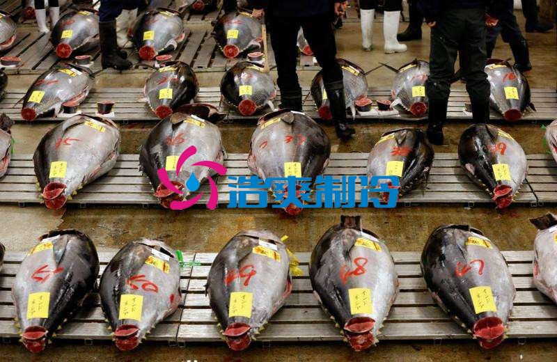 浩爽制冷，金槍魚冷庫，超低溫冷凍庫