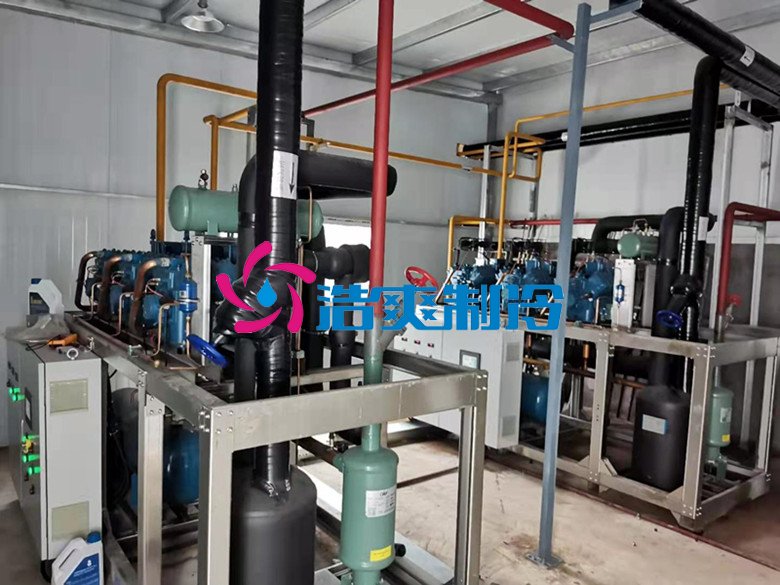 浩爽制冷，凈菜加工冷藏庫(kù)