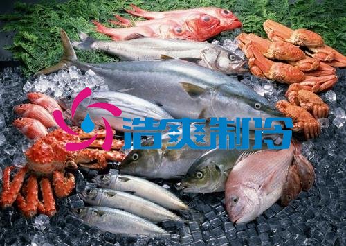 浩爽制冷，海鮮冷凍庫、食品冷凍庫