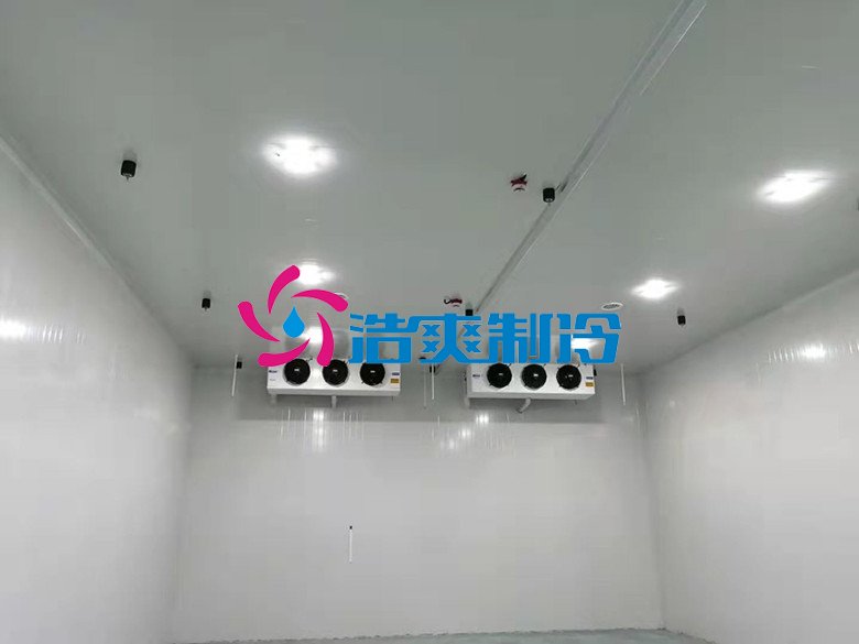 浩爽制冷，巧克力冷藏庫